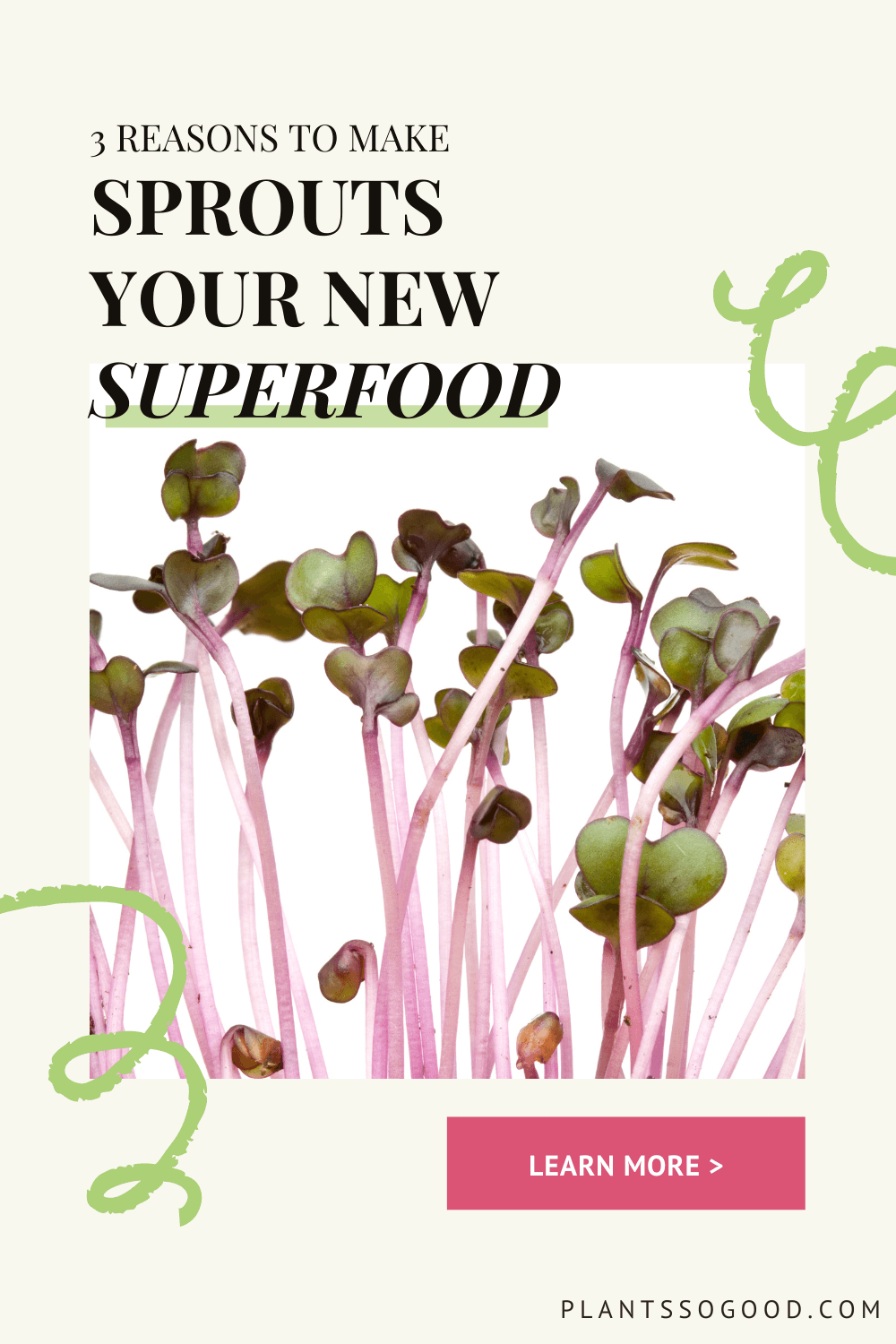 Why Sprouts Should Be Your New Superfood Plants So Good