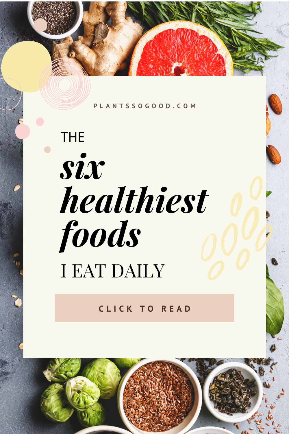 The Six Healthiest Foods I Eat Daily that you could too! Plants So Good